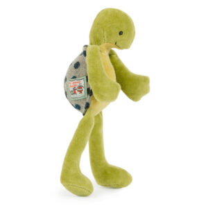 camille la tortue la grande famille